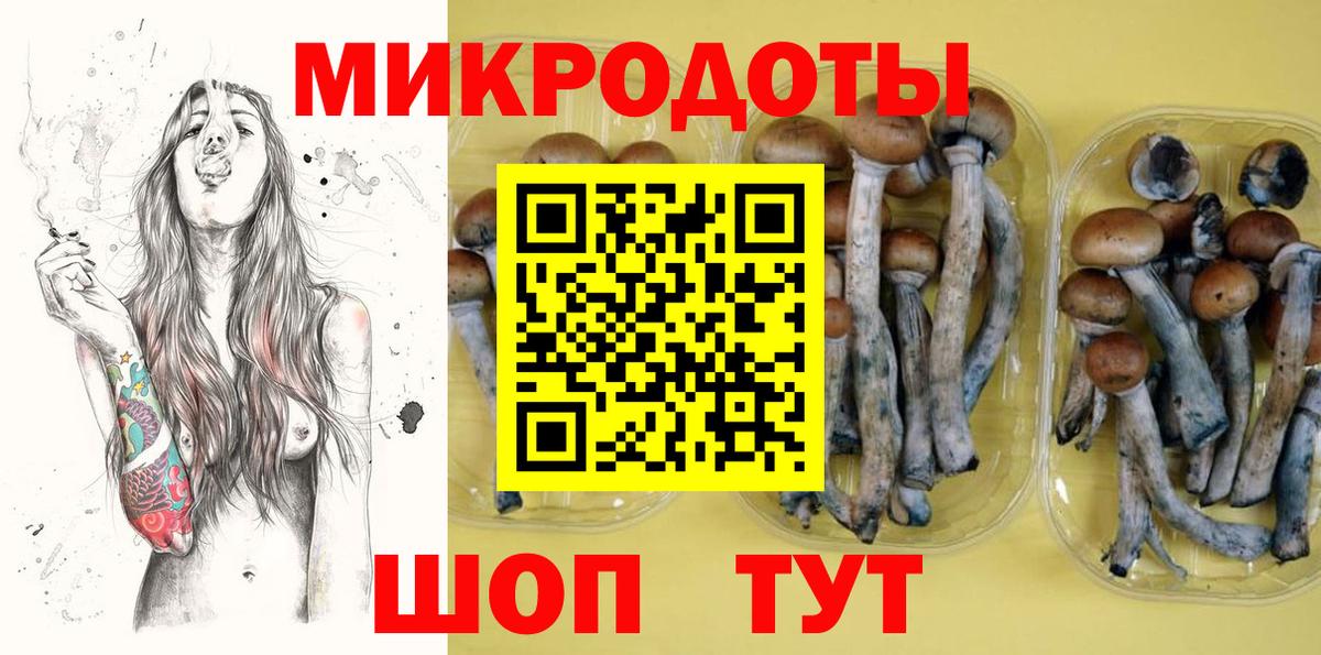 Псилоцибиновые грибы Psilocybine cubensis Кубинка