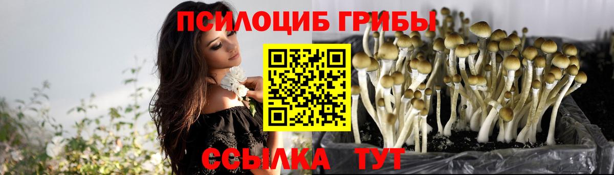Где купить наркотики?  КОКАИН  МЕТАДОН  Вход с VPN  Мефедрон  Кубинка  МАРИХУАНА  Гашиш  Меф МЯУ МЯУ  